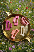 Load image into Gallery viewer, Pink Claw Clips

